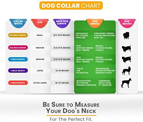 Moose Pet Wear Köpek Tasması - ABD'de Üretilen Renkli Ayarlanabilir Evcil Hayvan Tasmaları