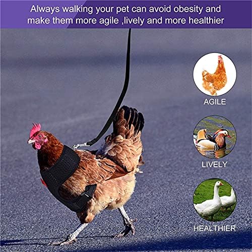 Sttech1 Tavuk Koşum Ayarlanabilir Tavuk Koşum ve Tasma Tavuklar Pet Yelek Traning Yürüyüş Ördek Çöp Köpek Gooes(XL) (Mavi)