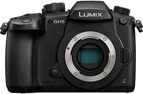 Panasonic LUMİX GH5 4K Dijital Aynasız Fotoğraf Makinesi, DC-GH5 (Siyah), Kamera Çantası ile Paket, İntervalometre, Çifte Şarj