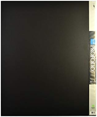 Itoya Sanat Portföyü 13 x 19 inç Depolama Ekran Kitabı, 48 Görüntüleme için 24 Kol