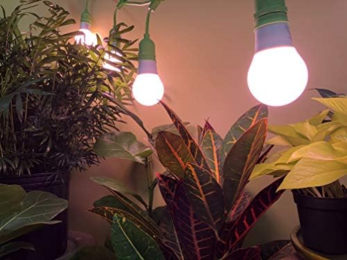 Mucize LED sera kapalı Bitkiler için bir kutu Büyümek kiti-Içerir 4 Kırmızı Spektrum Çiçekli Ultra Büyümek 150 W Büyümek ampuller